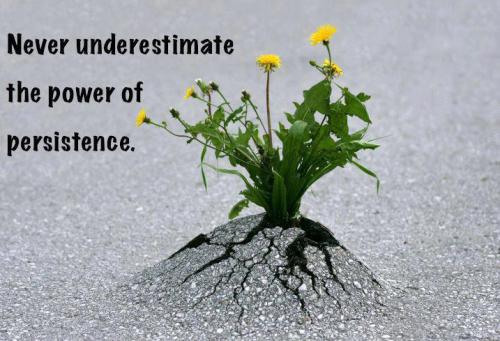 Image: "Never underestimate the power of persistence." ~ Unknown 